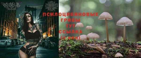 гашишное масло Елизово