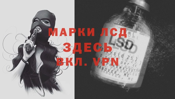 соль ск Снежинск