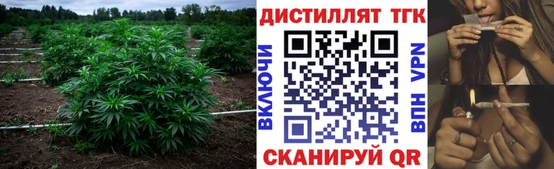 Дистиллят ТГК гашишное масло  ОМГ ОМГ ONION  Красный Кут 